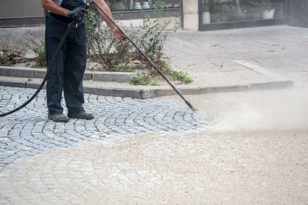 Best Driveway Pressure Washing  in Fairmount, TN